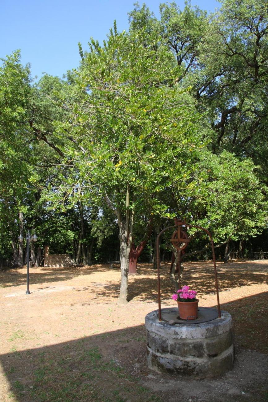 Agriturismo Casale Zuccari 카프라롤라 외부 사진