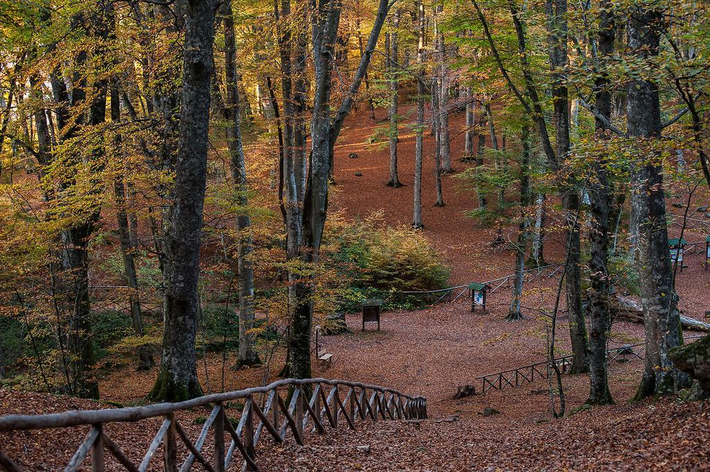 Agriturismo Casale Zuccari 카프라롤라 외부 사진
